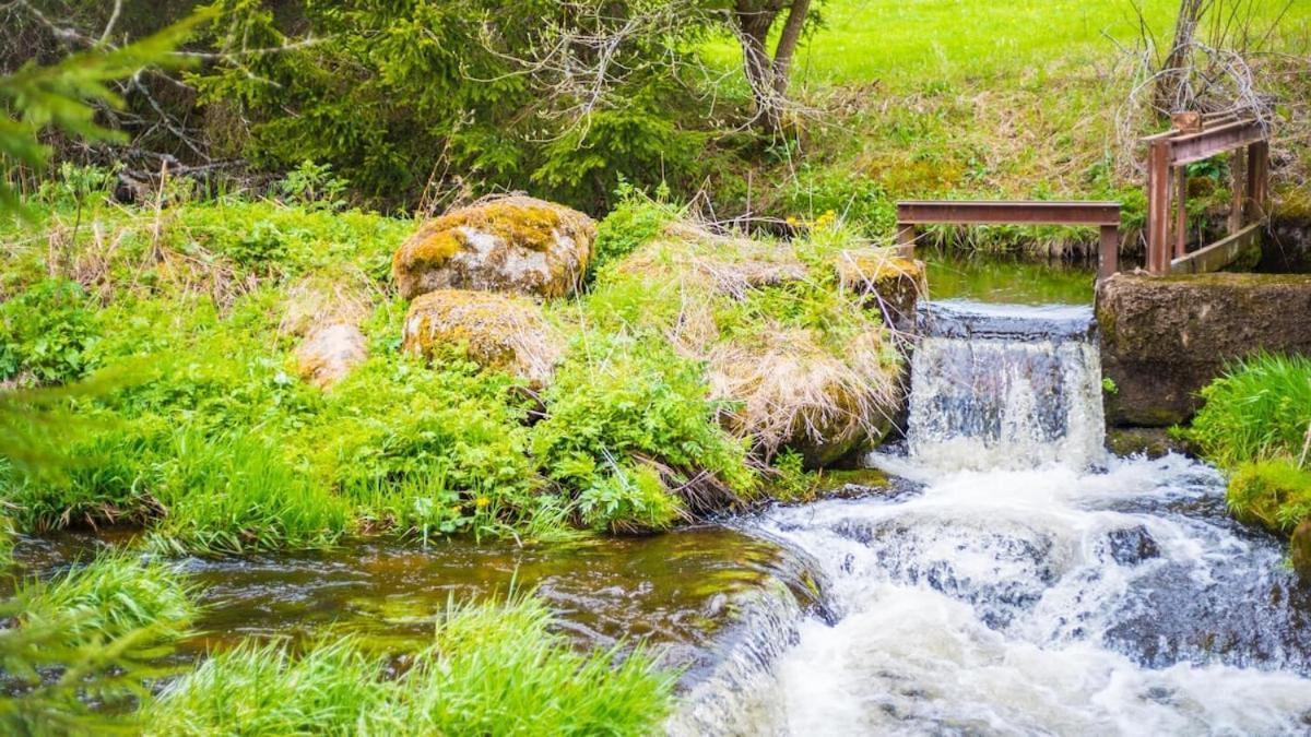 Schwarzwald Lodge Inselklause Schönwalde Buitenkant foto